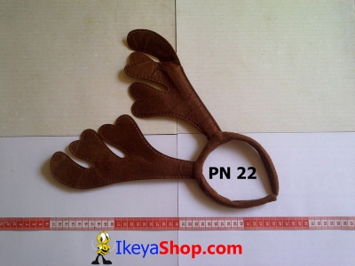 PN 22  large2